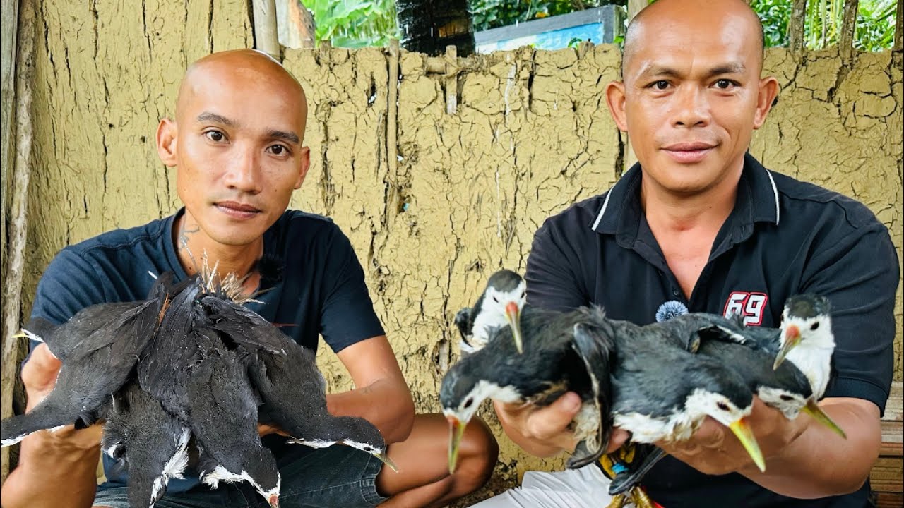 Ngon T&ecirc; T&aacute;i Với M&oacute;n Chim Cuốc Nướng Ng&agrave;y Mưa - To&agrave;n Đen Sơn Dược Vlog