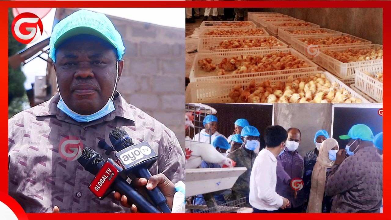 NAIBU WAZIRI ZANZIBAR ATINGA KISARAWE KUJIONEA SHAMBA LINALOZALISHA KUKU MILIONI 6+ AJIRA 65+