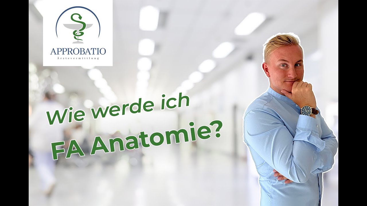 Facharztausbildung Anatomie | Wie werde ich Facharzt f&uuml;r Anatomie?