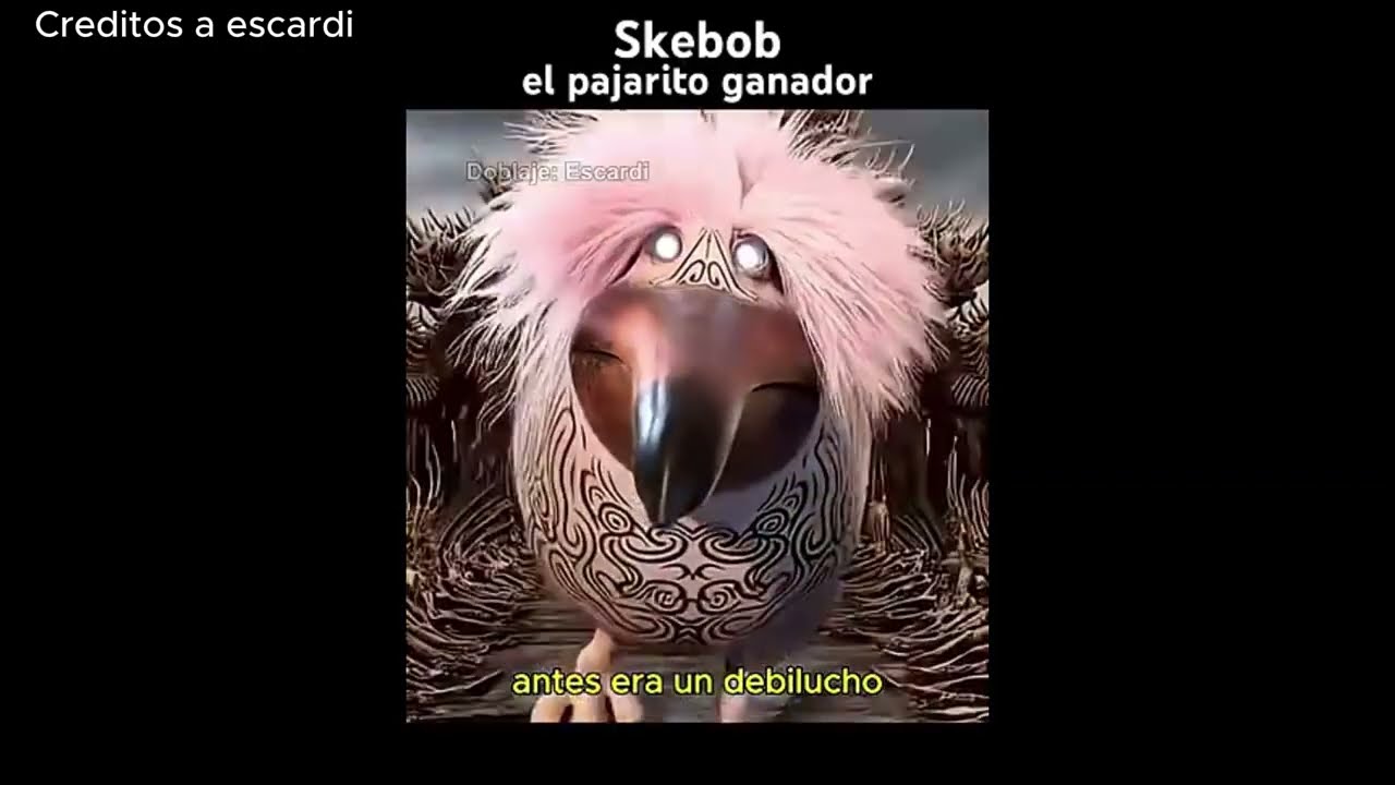 Skebob el ganador 30 min 🤑👍#skebob #xd
