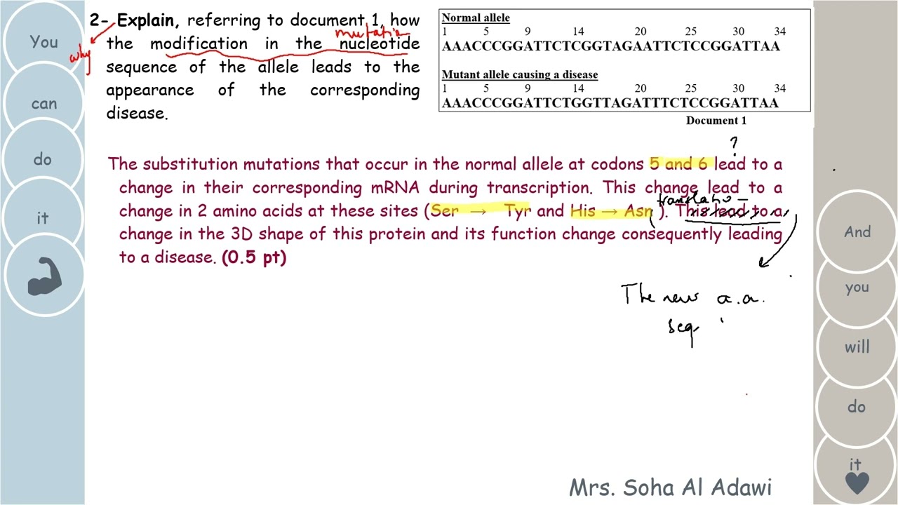 Genetic polymorphism exercise