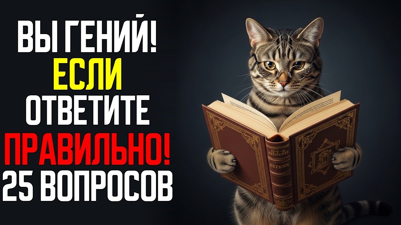 Эрудиция против невежества — на чьей ты стороне?