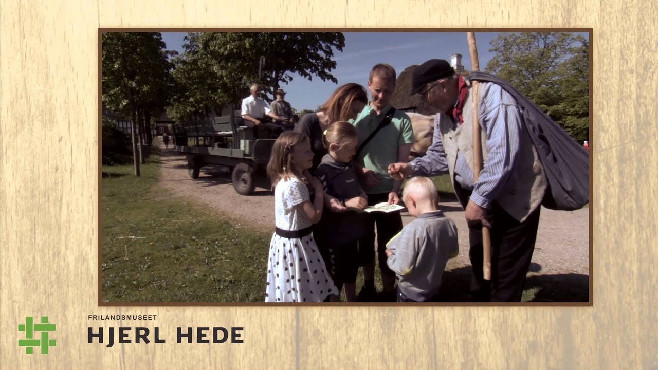Sommer på Hjerl Hede
