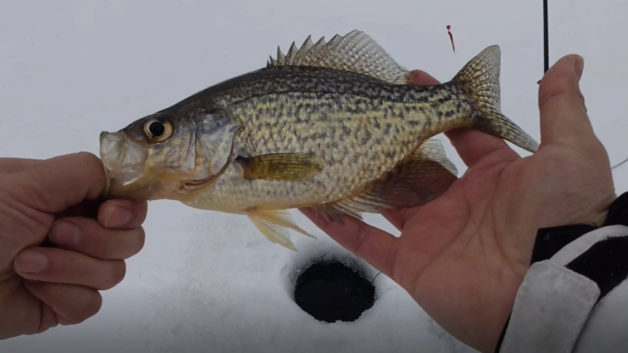 I had The Best Ice Fishing Day Ever