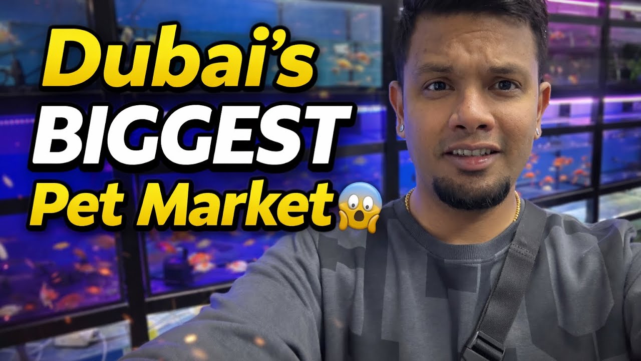 Warsan Pet Market Dubai 🐾 | Pet lovers ku heaven 😍 | தமிழ்