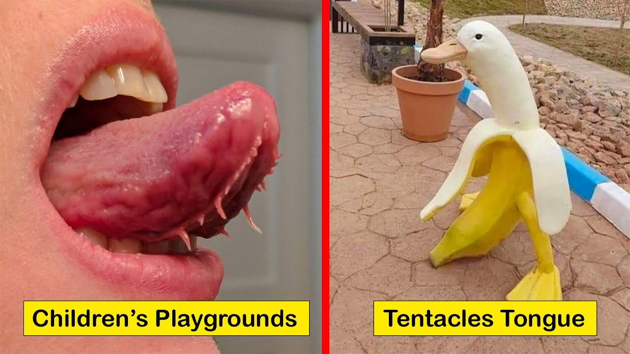Weird Creepy Photos - Things That Will Make You Scream 