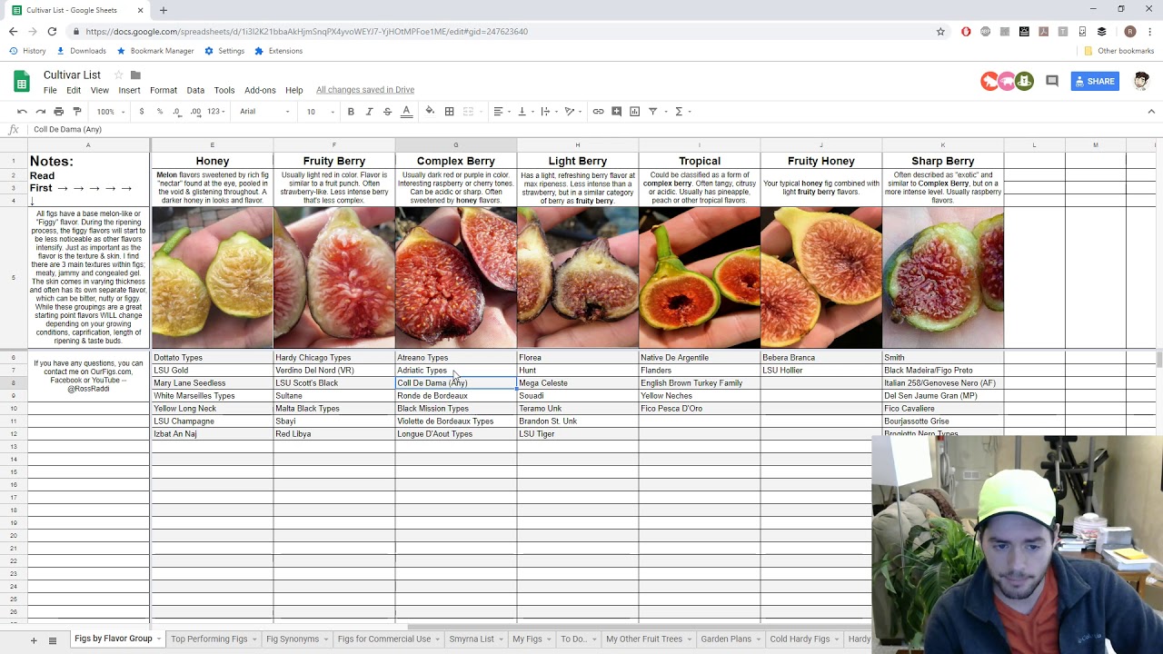 Top Figs from the Flavor Groupings