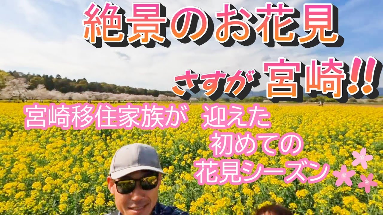 宮崎の花見は東海地方とは一味違う！雄大！絶景！西都原公園のお花見を宮崎移住家族がご紹介【＃36】