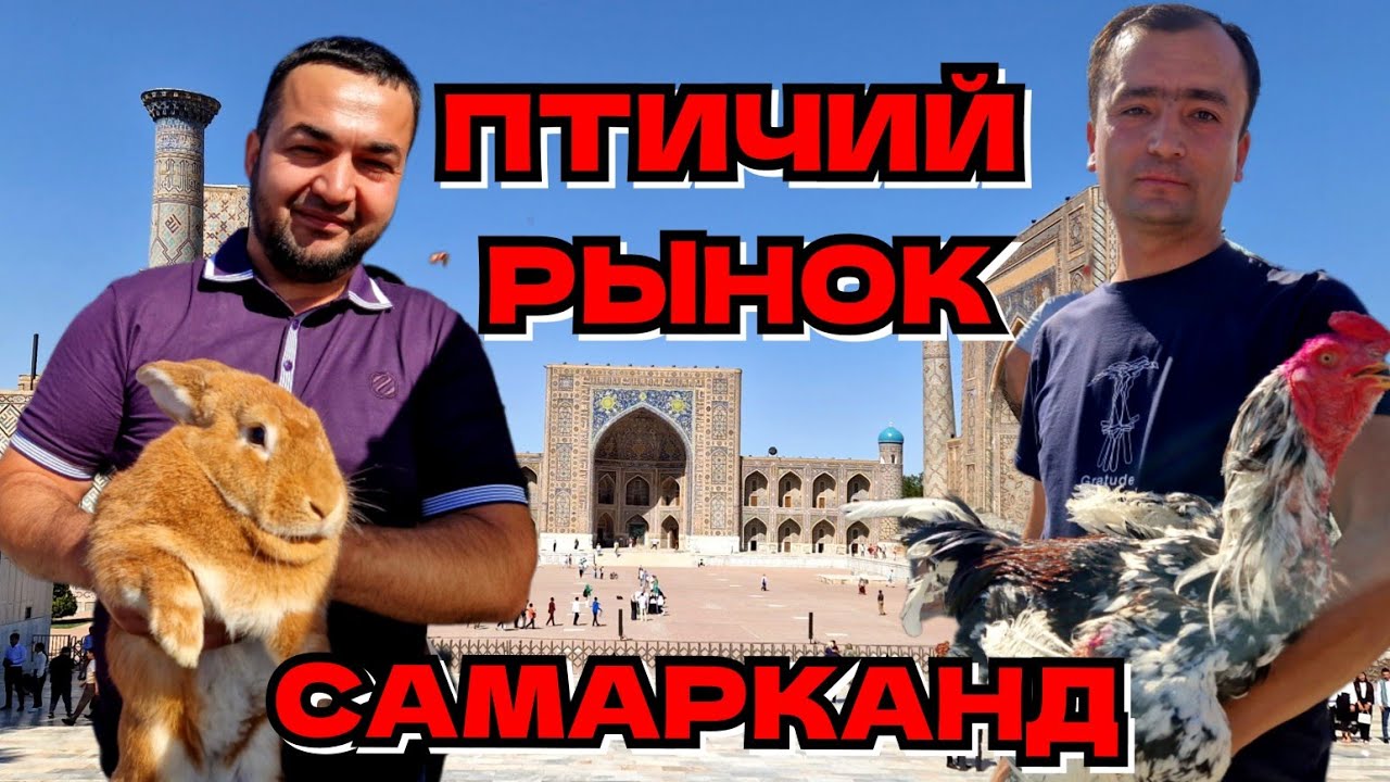 ПТИЧИЙ РЫНОК в САМАРКАНДЕ//SAMARKAND QUSH BOZORI 