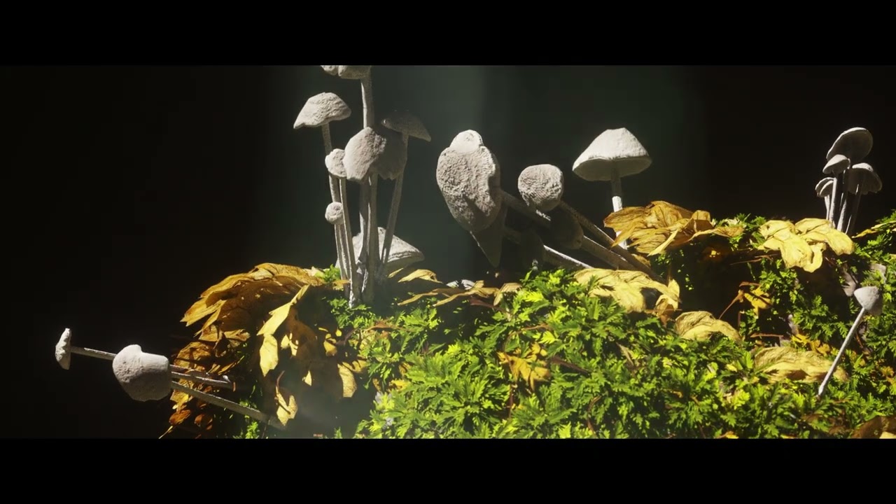 STAR SEED & Josh Rubin - Gold