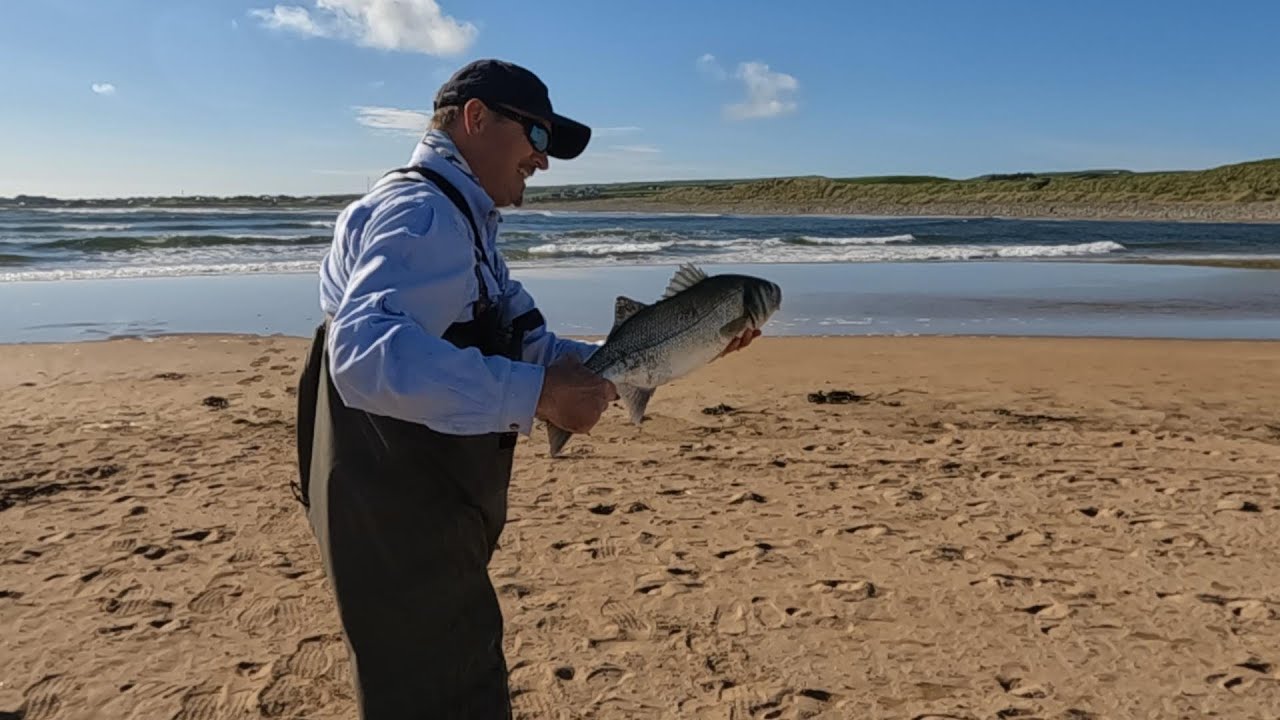 Bass fishing Lahinch Ireland, the Wild Atlantic way, Bait , Sandeel tipped with Squid on 2 hook rig