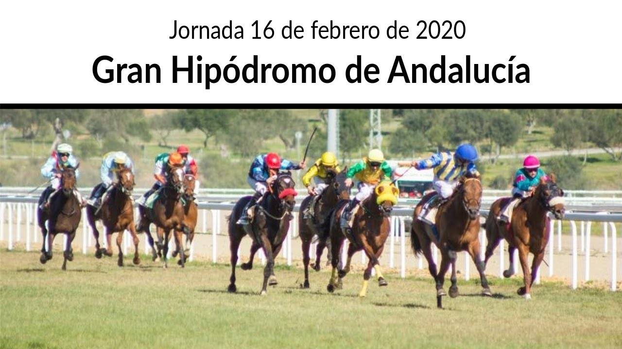 Directo,Gran Hipódromo de Andalucía, 16 de febrero de 2020