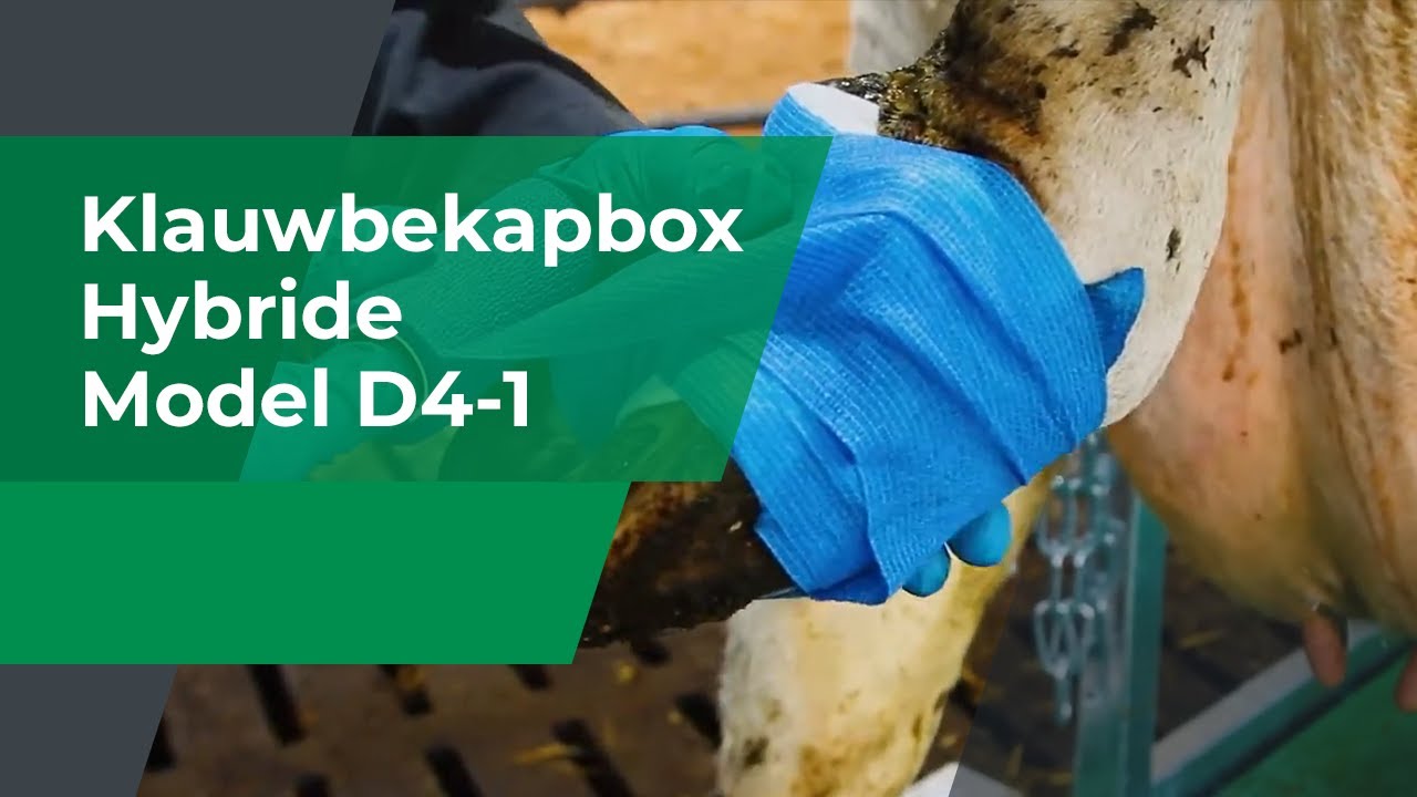 MS Klauwbekapbox Hybride | model D4-1
