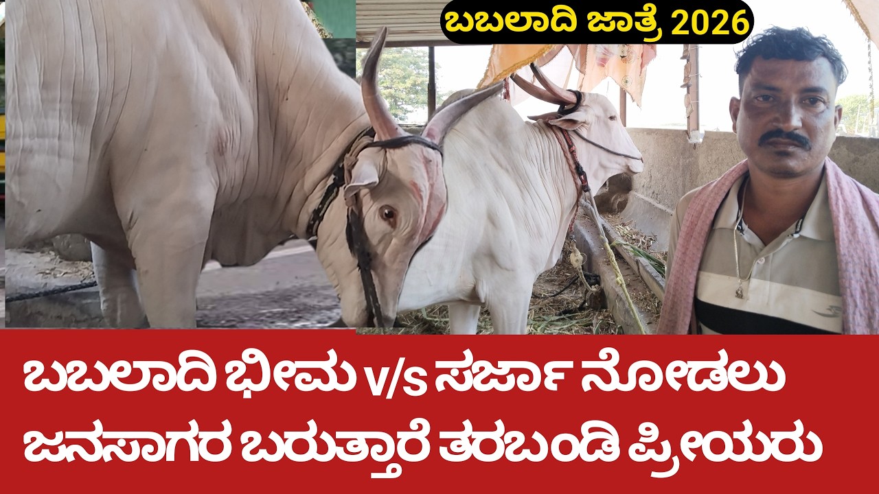 ಬಬಲಾದಿ ಭೀಮ & ಸರ್ಜಾ ನ ನೋಡಲು ಜನಸಾಗರ / Babaladi Bhima and sarjaa