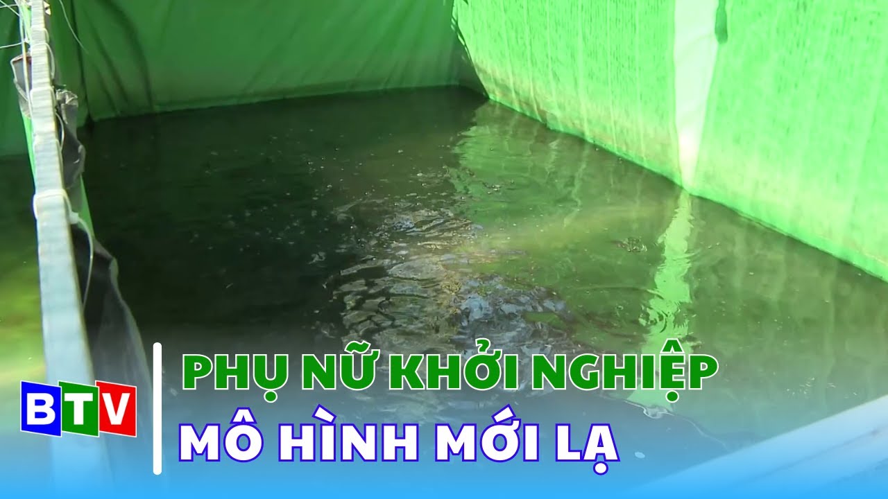 Khởi nghiệp từ mô hình mới lạ | Phụ nữ khởi nghiệp
