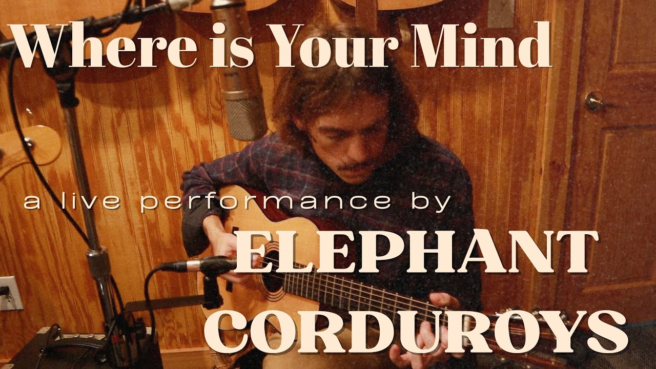 Where Is Your Mind (Live Performance) // ELEPHANT CORDUROYS