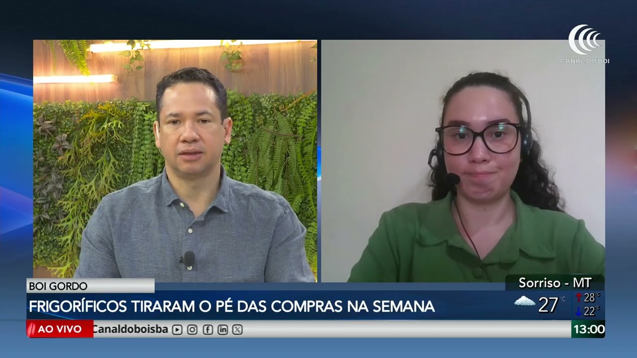 Mercado do boi gordo inicia março com pressão de baixa