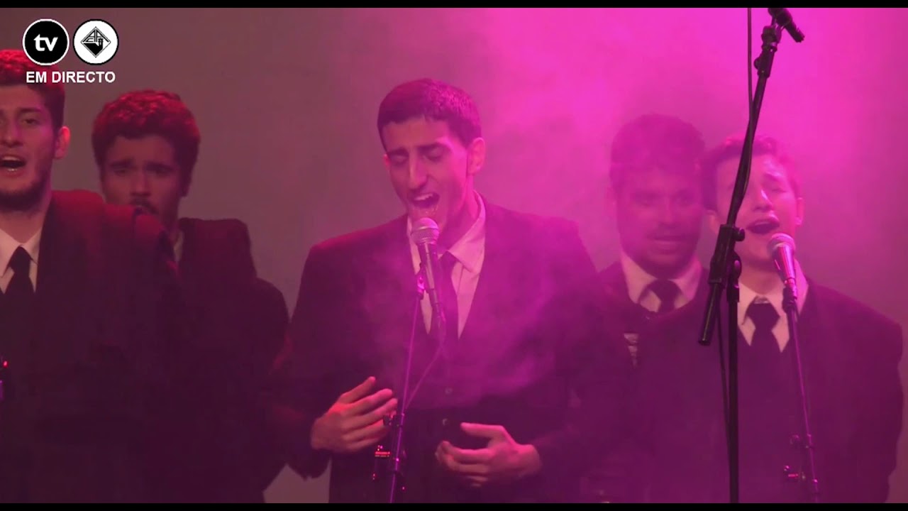 Fado Bélico | VIII Lágrimas de Amores | TAFEP