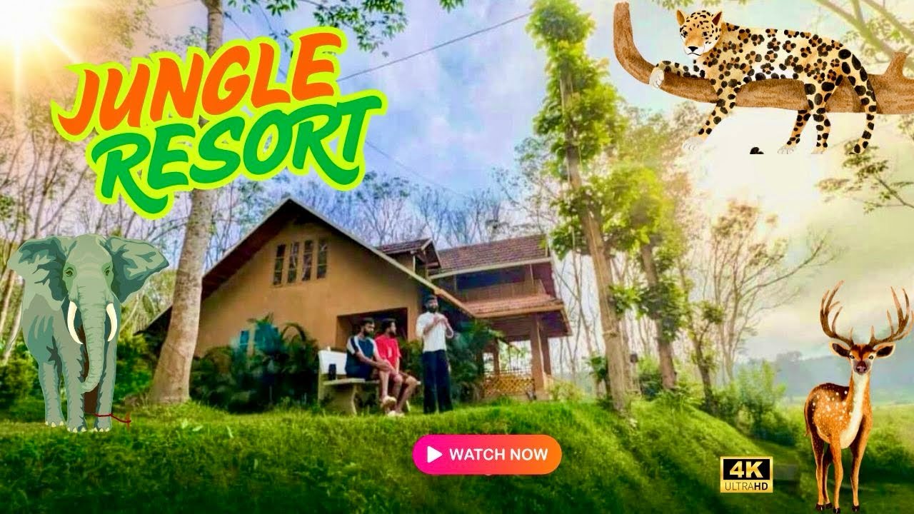 JUNGLE RESORT | FOREST WILD VIEW | WAYANAD |#Resort #wayanad#vazhikatti #tourism
