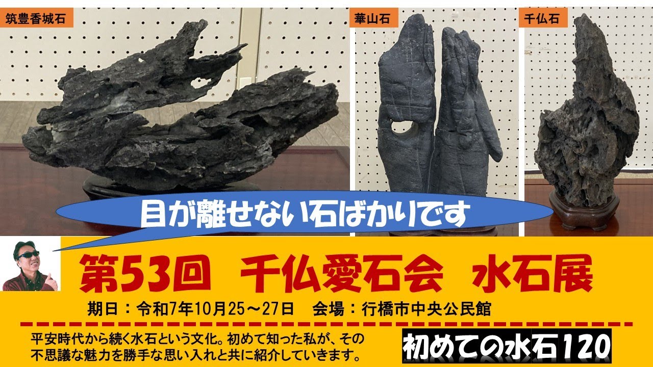初めての水石120　第53回千仏愛石会水石展