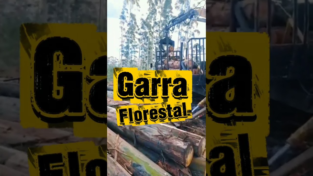 Mini Skidder florestal - Garra arraste de toras