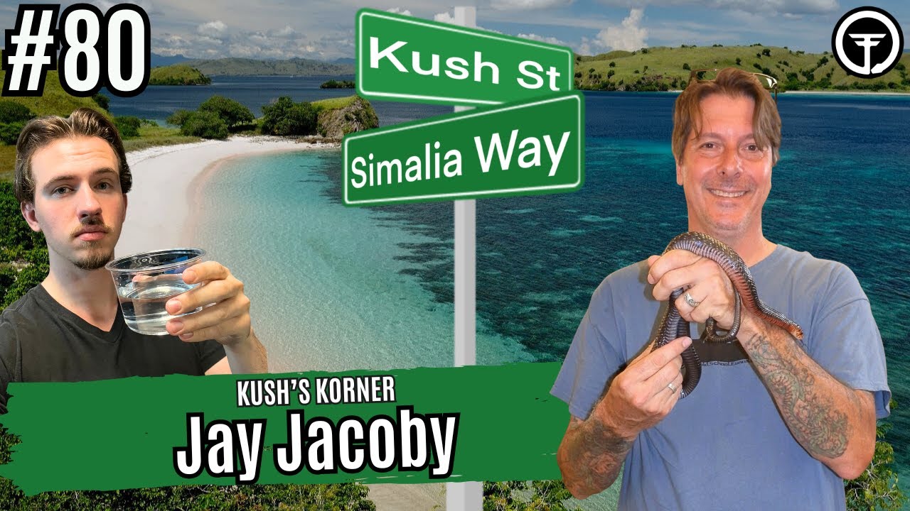 Pine Snake Masterclass With Jay Jacoby | Kush's Korner