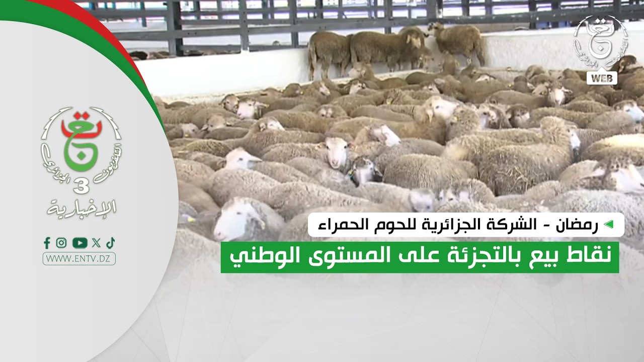 رمضان - الشركة الجزائرية للحوم الحمراء | نقاط بيع بالتجزئة على المستوى الوطني