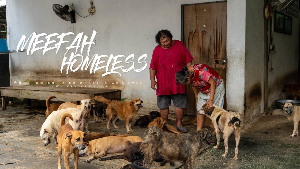 【动物救助站 纪录片】这里，是它们重新开始的地方｜MEEFAH HOMELESS—NEIVCE MMDPV243