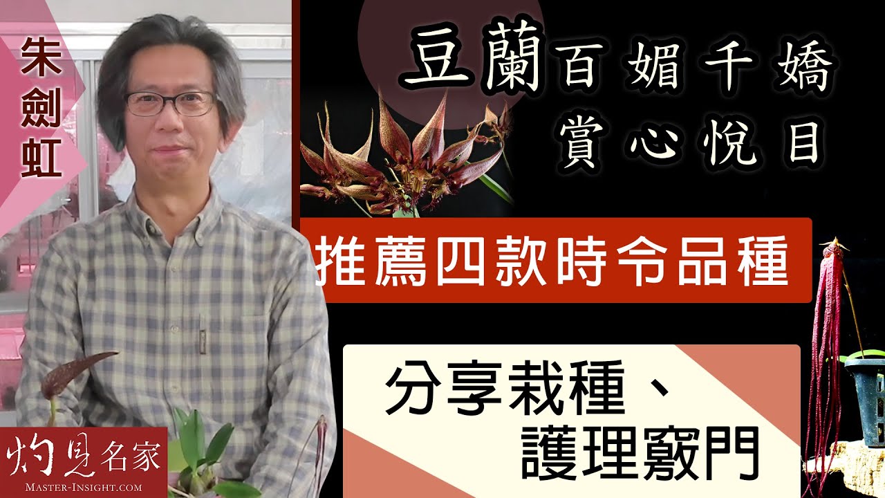 【字幕】朱劍虹：豆蘭百媚千嬌 賞心悅目 推薦四款時令品種 分享栽種、護理竅門 《種好蘭花》（2022-05-06）