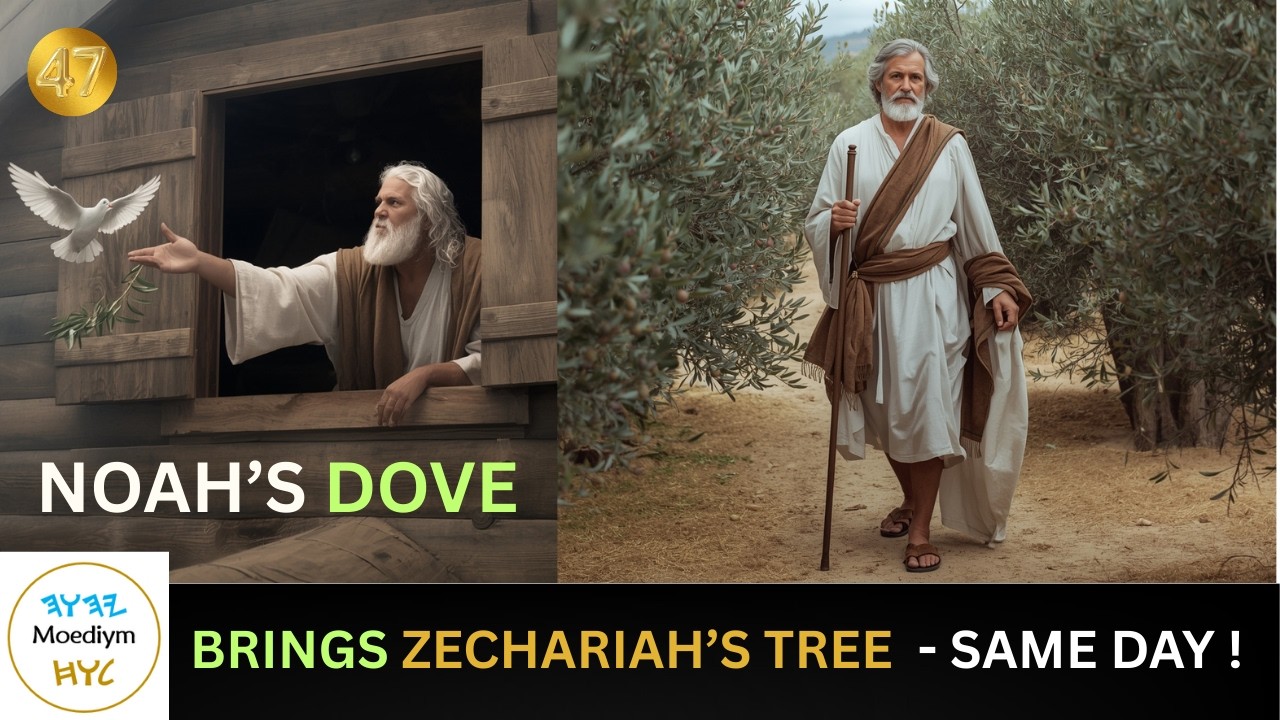 SECRET PLACE found the Dove’s landing in Zechariah ??! #holyspirit   #biblemysteries   #bibletrivia