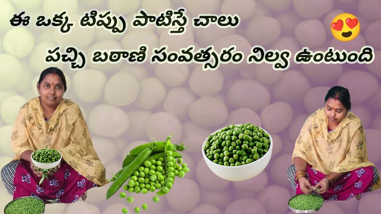 ఈ సీజన్లో దొరికే పచ్చి బఠాణి సంవత్సరం పాటు ఇలా నిల్వ ఉంచుకోవచ్చు...