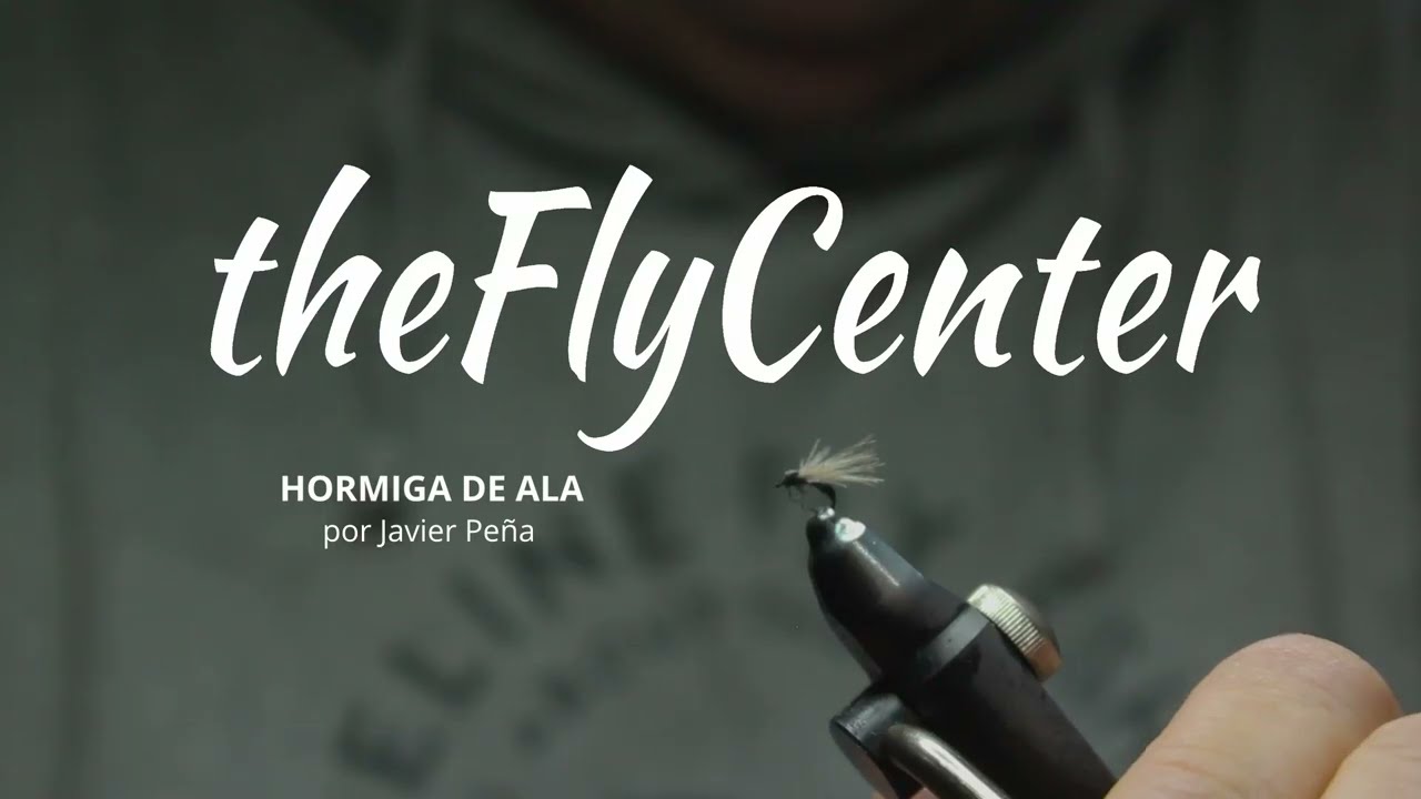Montaje 
