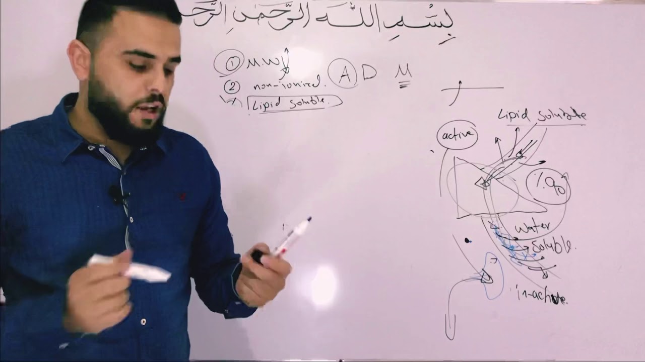 Pharmacology 1 / drug metabolism