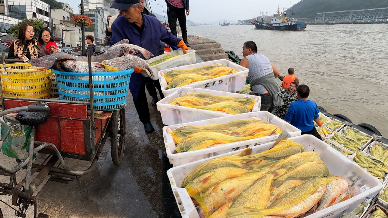 浙江省 沈家門漁港 海鮮市場 特色美食 海鮮面 葱油餅 公共大食堂 酥炸梅童魚 鰻魚乾炒芹菜 大梭子蟹25元一斤 豆腐魚5元一斤 Seafood Market StreetFood Citywalk