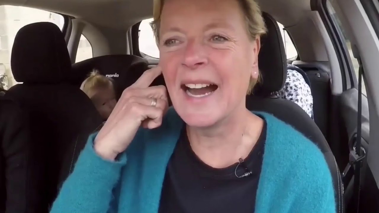 Compilatie: De autoavonturen van de Meilandjes