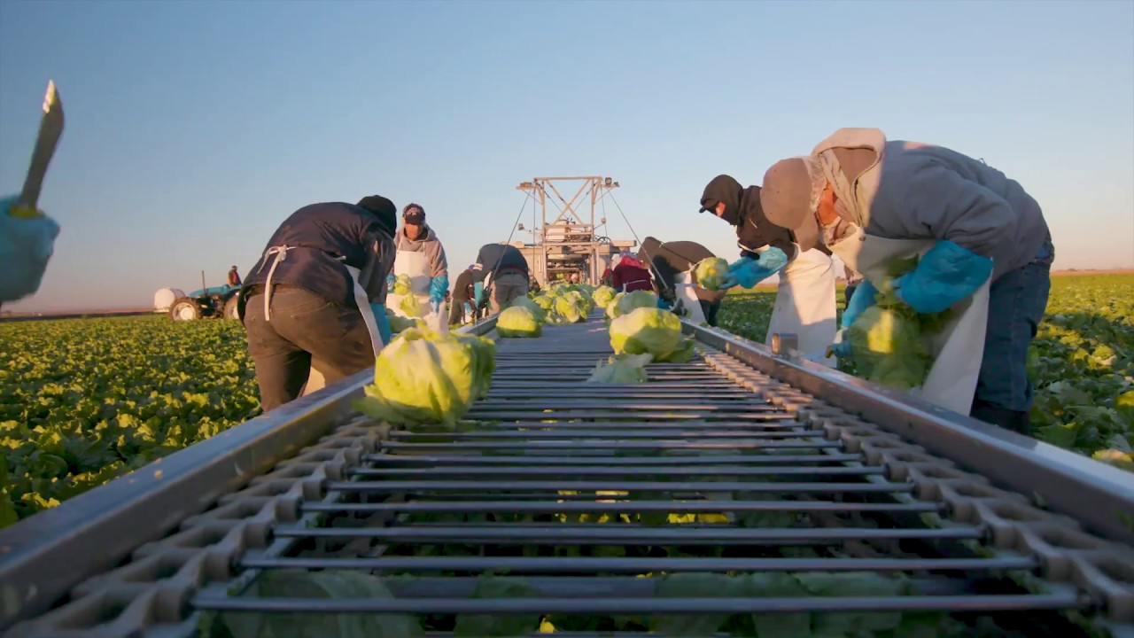 Subway Highlights Taylor Farms Innovation
