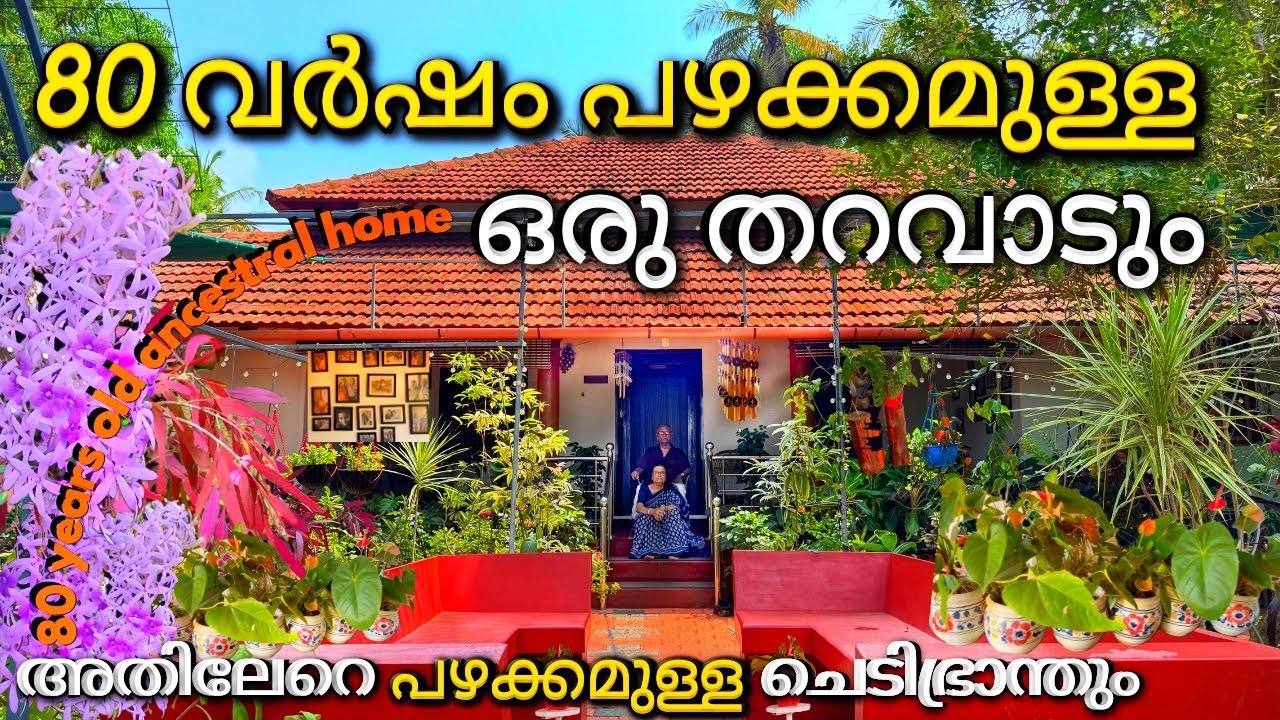 12വർഷത്തെ കാത്തിരിപ്പിനൊടുവിൽ ചെടികൾ കാണാൻ പോയി.പക്ഷേ കിളി പോയത് 80 വർഷം പഴക്കമുള്ള വീട് കണ്ടപ്പോൾ.
