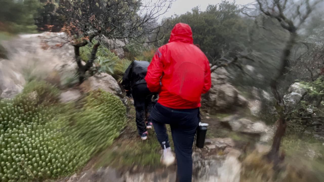 TASSEMIT SUMMIT