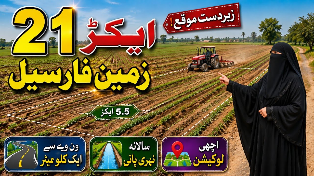 21-Acre Agricultural Land for Sale in Punjab, Pakistan | Affordable Price | Land for Sale | Ep 250