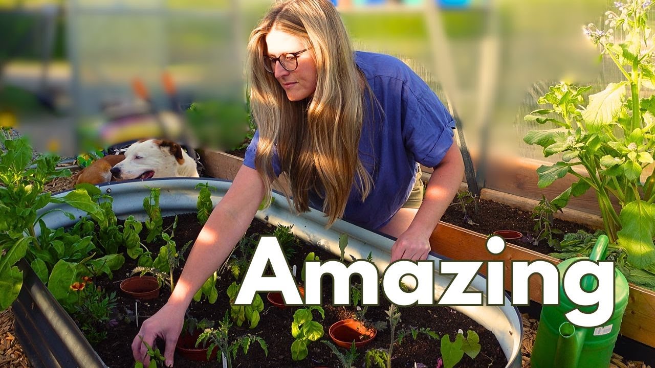 Planting out! 🌱 It's too warm to Garden | Lismore Castle & Ballymaloe Food Festival| Irish Garden