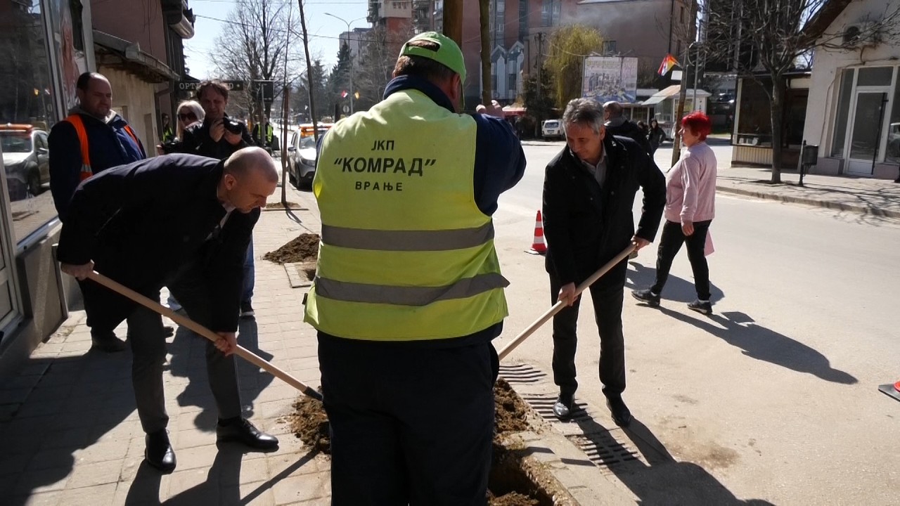 BAT donirao Vranju 140 sadnica platana u okviru akcije ozelenjavanja 11 03 2026