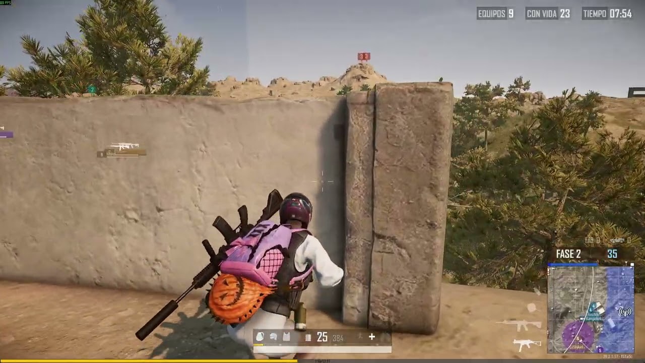 PUBG 12/1/2026 WIN
