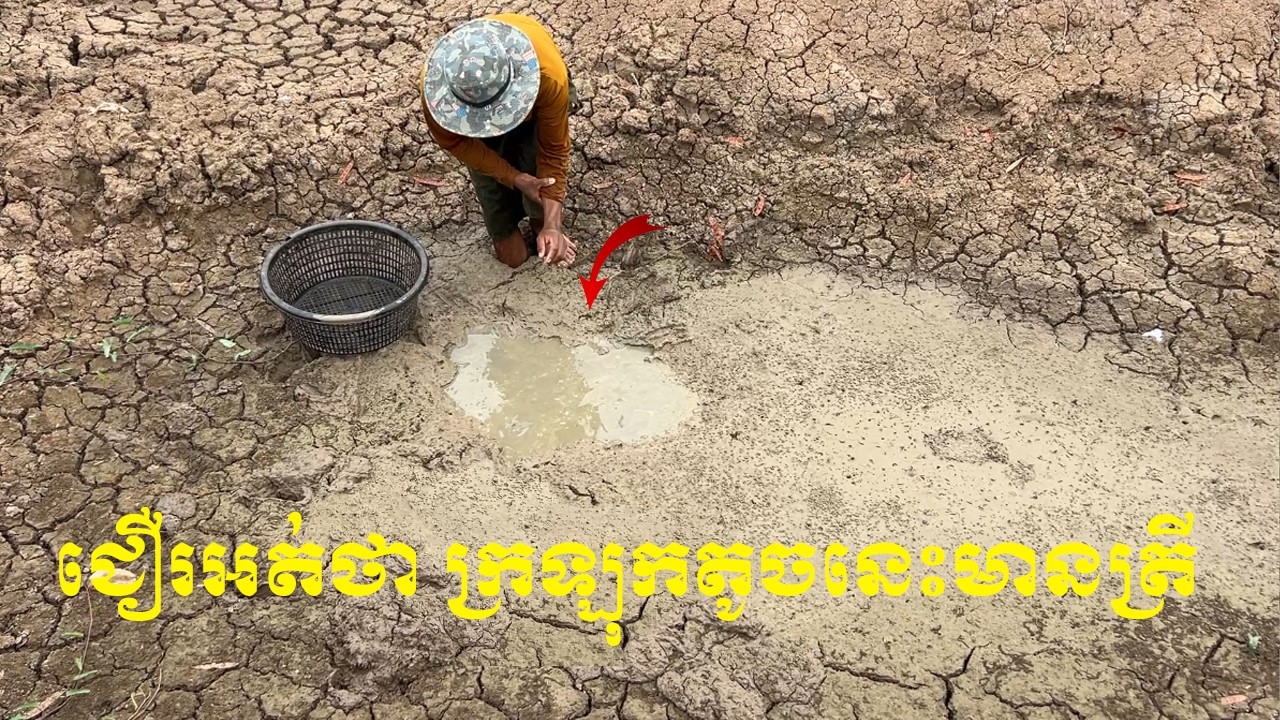 រីងអស់ ជឿរអត់ថា ក្រឡុកតូចនេះមានត្រីច្រើន