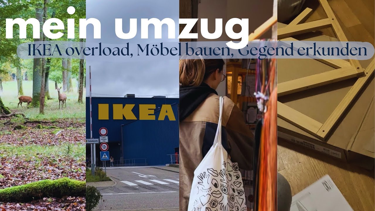 Ich bin für‘s Studium umgezogen!! 🥳🗝️ 