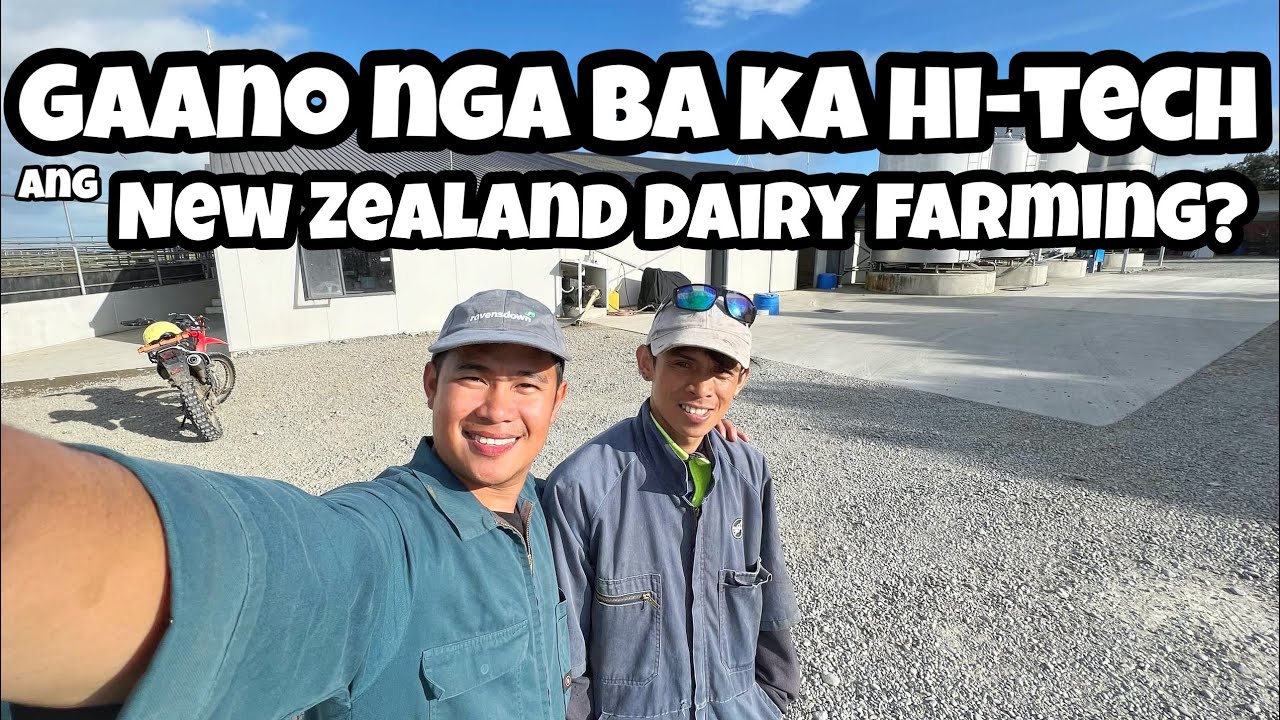 Gaano nga ba ka advance ang Dairy Farming technology dito sa New Zealand? by John Paul Cunanan