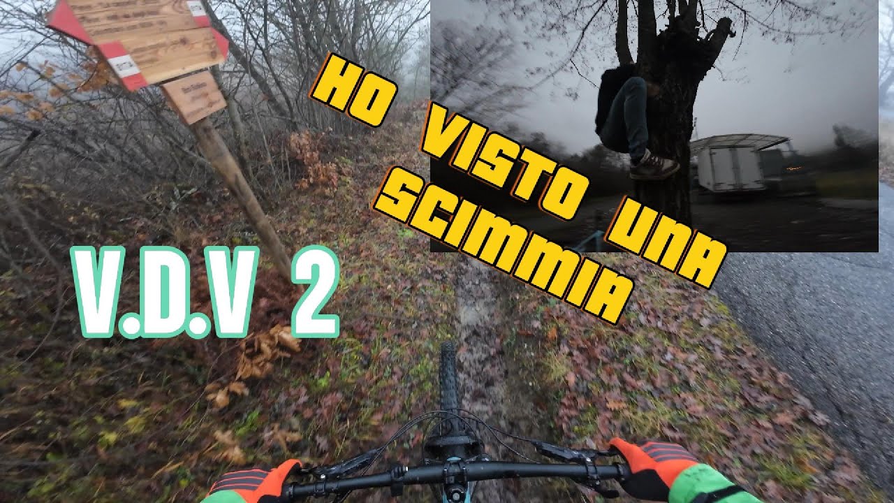 ENDURO NELLA NEBBIA   #IGDV  2