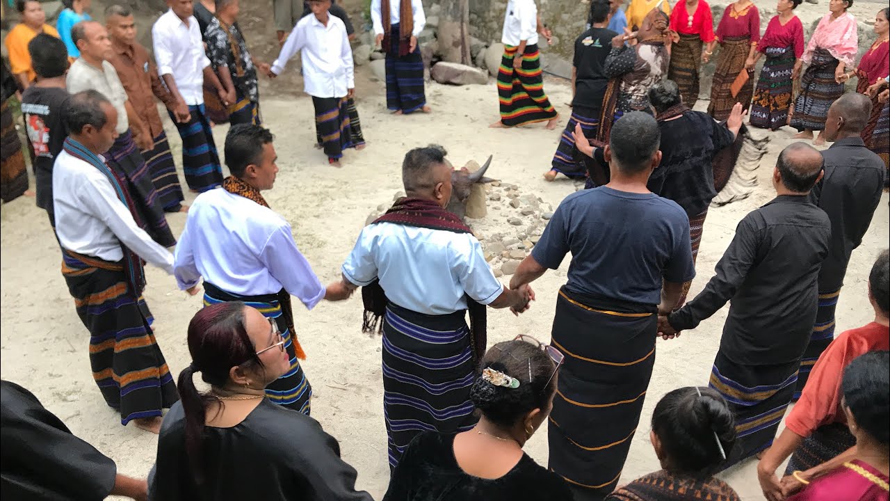 Tarian Gawi Sodha tradisional lio | Proses Ritual Adat lio Flores NTT