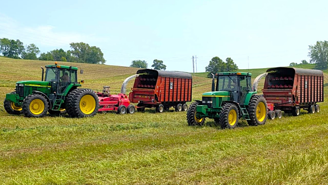 Chopping Hay On A Small Dairy Farm With Two Choppers At The SAME TIME!!!  Hay Season 2025 Ep. 2