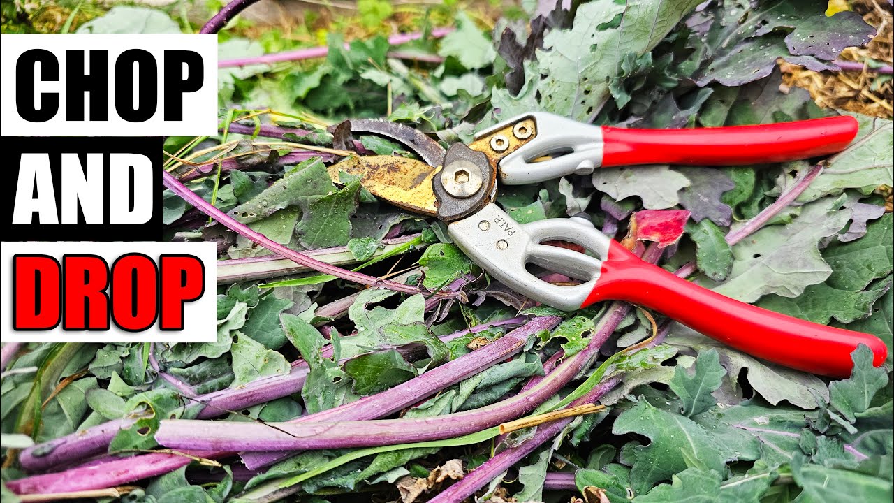 Chop and Drop Explained - Garden Quickie Episode 173