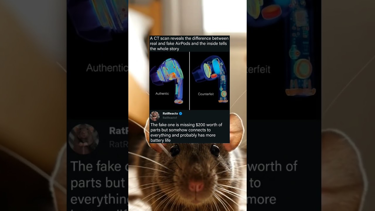 The Inside of a Fake AirPod Compared to an Authentic One in a CT Scan